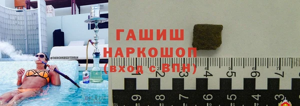 гидра Елизово