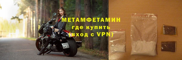 гидра Елизово