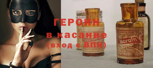 гидра Елизово