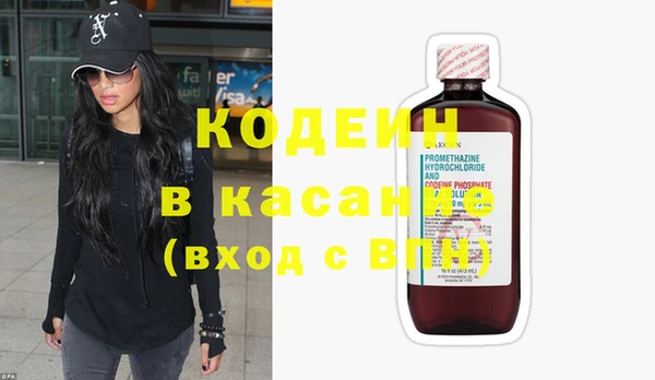 гидра Елизово