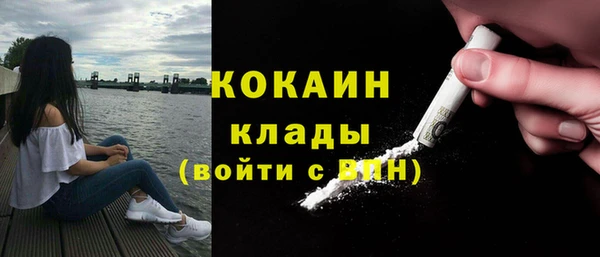 прущая мука Ельня