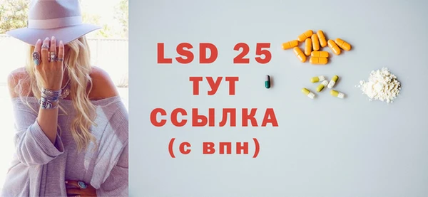 гидра Елизово