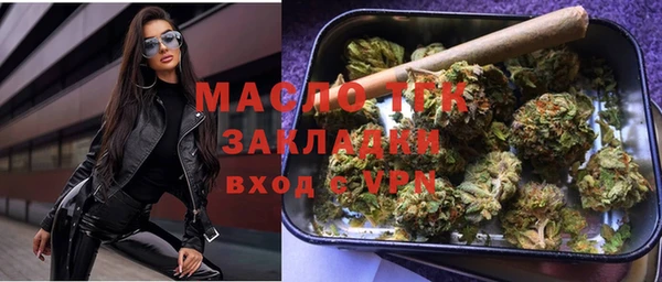 гидра Елизово
