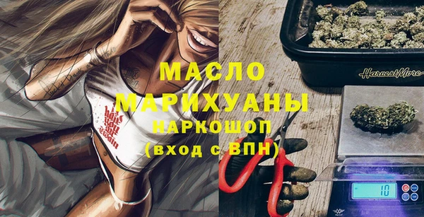 гидра Елизово