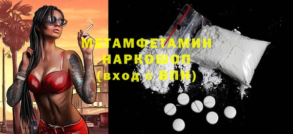 гидра Елизово