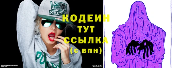 гидра Елизово