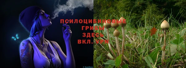прущая мука Ельня