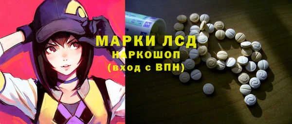 гидра Елизово