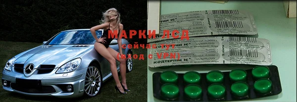 прущая мука Ельня