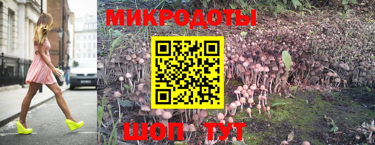Ярославль  Псилоцибиновые грибы мицелий  Вход с VPN 